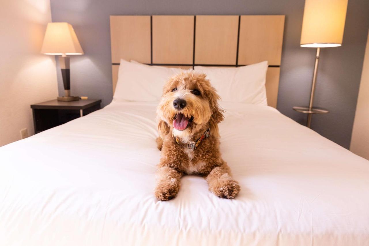 โซเนสตา ซิมพลี สวีท เบอร์มิงแฮม Hotel ฮูเวอร์ ภายนอก รูปภาพ